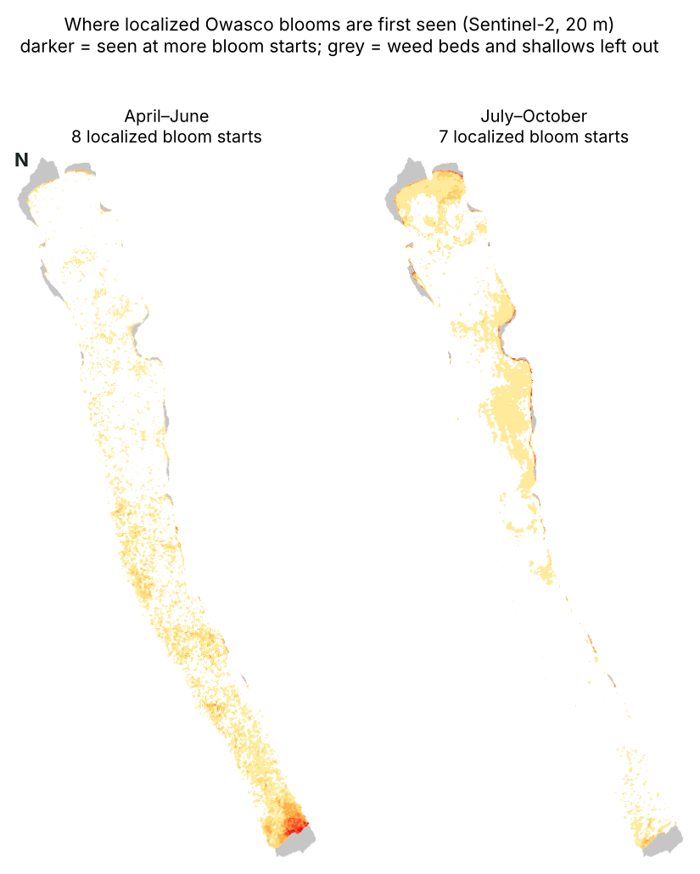 Map of Owasco Lake showing where localized blooms were first seen: the south end in April to June, the north basin and east shore in July to October